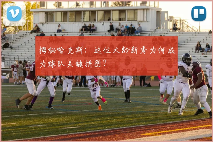 揭秘哈克斯：这位大龄新秀为何成为球队关键拼图？