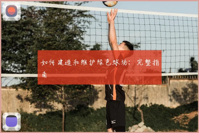 如何建造和维护绿色球场:完整指南