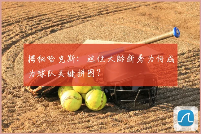 揭秘哈克斯:这位大龄新秀为何成为球队关键拼图?