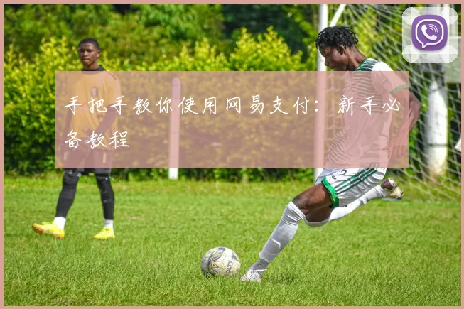 手把手教你使用网易支付:新手必备教程